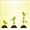 PlantGrowTracking