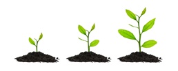 tracking of plant growth rate