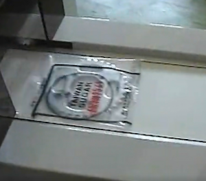 Packaging from auto insert packaging machine